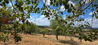Vente Maison PLAIN PIED SUR 1 HA Arfeuilles