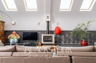  Appartement � vendre 10 pi�ces 300 m�