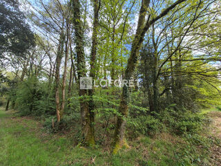  Terrain à vendre 3445 m²
