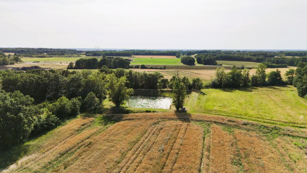 Vente Maison Ancienne ferme et ses dépendances avec 16ha Grisolles