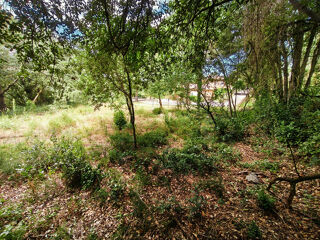  Terrain � vendre 3120 m�