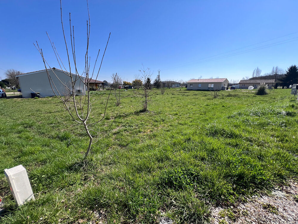 Vente Terrain Terrains à Bâtir Albefeuille-Lagarde 1019m² Albefeuille lagarde