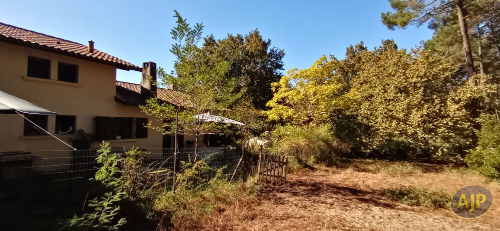 Maison en lisière de forêt à Claouey