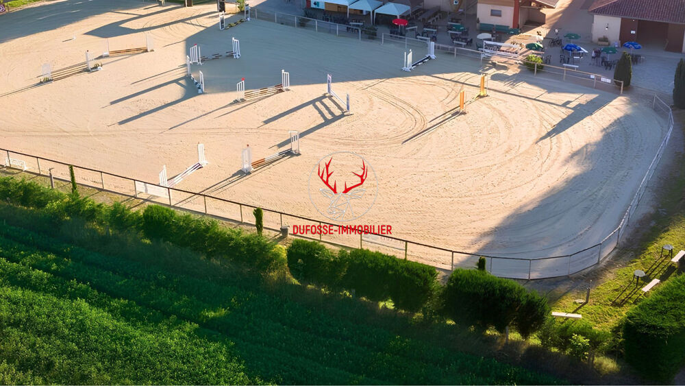à vendre  Maison Albi (81000)