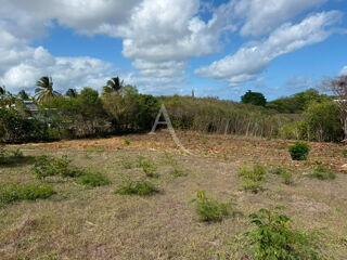  Terrain à vendre 1000 m²