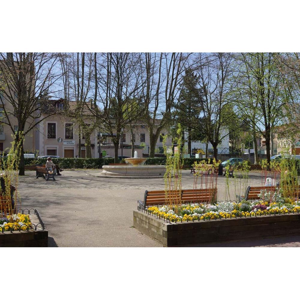   Lyon 5