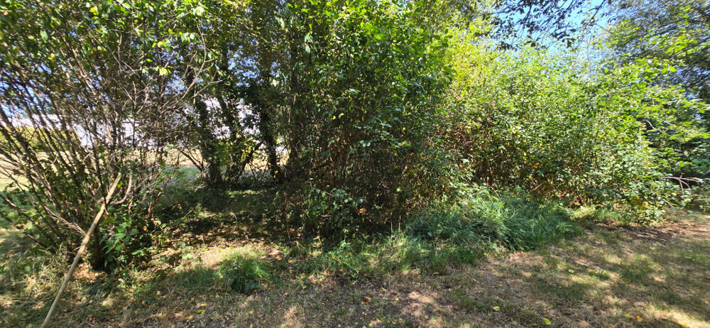 Vente Terrain Combrit, joli terrain à bâtir de 1 000 m², bourg à pied, plage à vélo ! Combrit