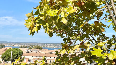  Appartement  louer 3 pices 56 m