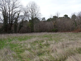  Terrain à vendre 2503 m²