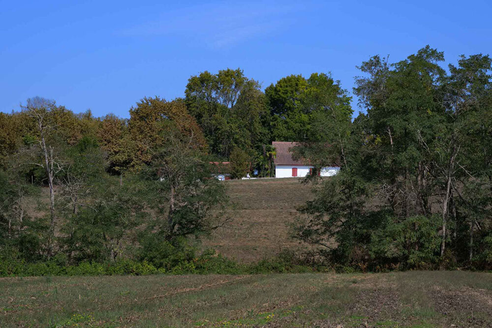 Vente Maison Une ferme de 1859, ses 4 600 m² de parc et sa piscine Pey