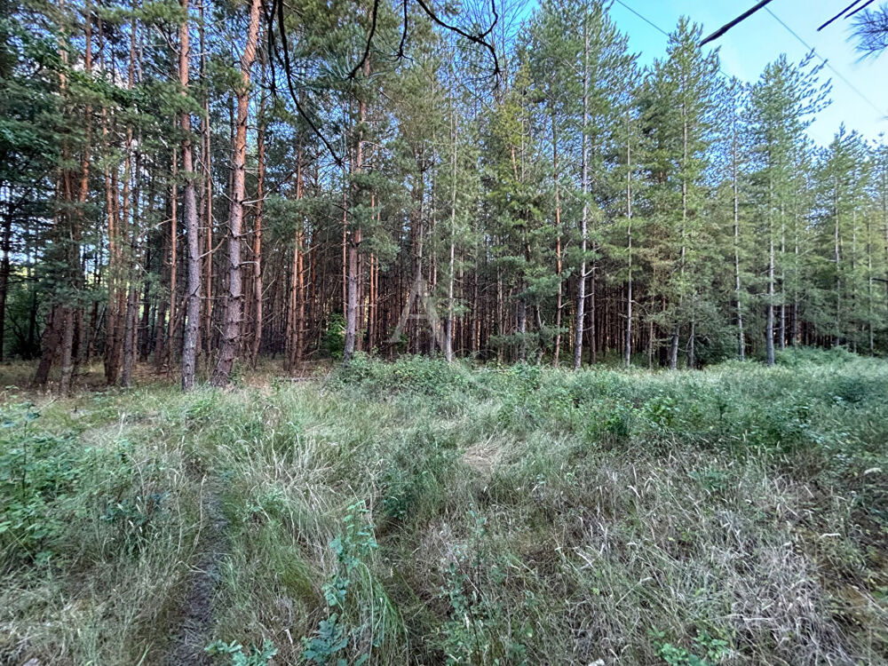 Vente Terrain Terrain boisé Fontaines en sologne