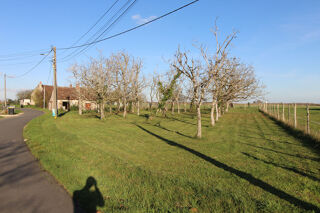  Terrain � vendre 980 m�