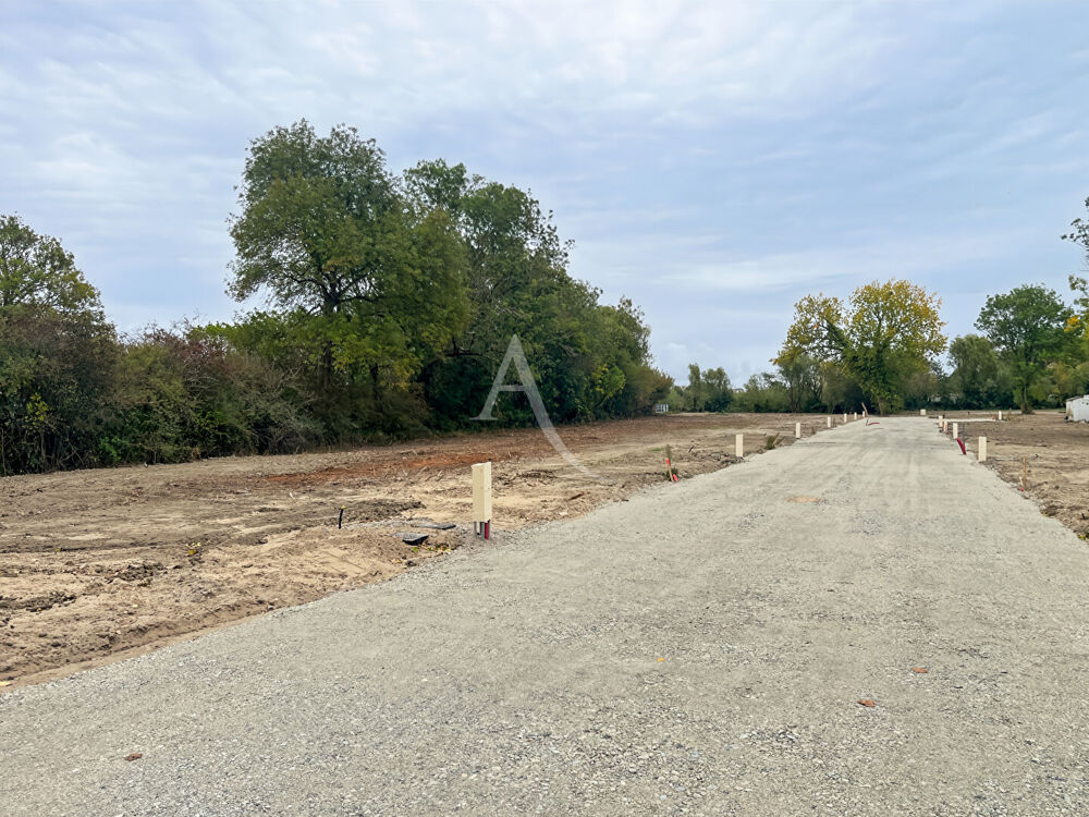 Vente Terrain Terrain viabilisé de 450 m² - Notre Dame De Monts Notre dame de monts