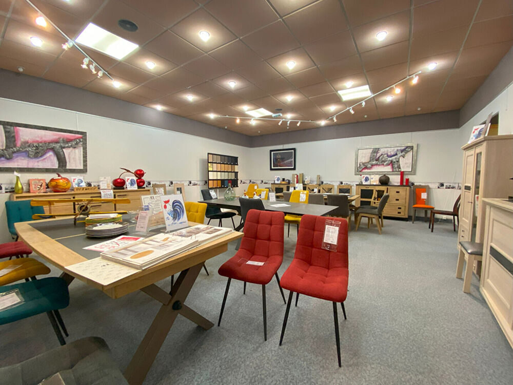   LOCAL PROFESSIONNEL ET COMMERCIAL 1056 m2 Chancia