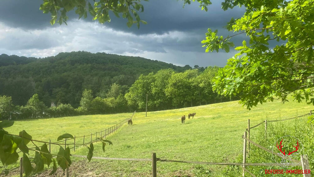 à vendre  Maison Agen (47000)