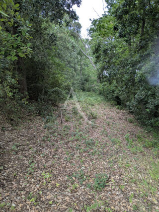  Terrain à vendre 9305 m²