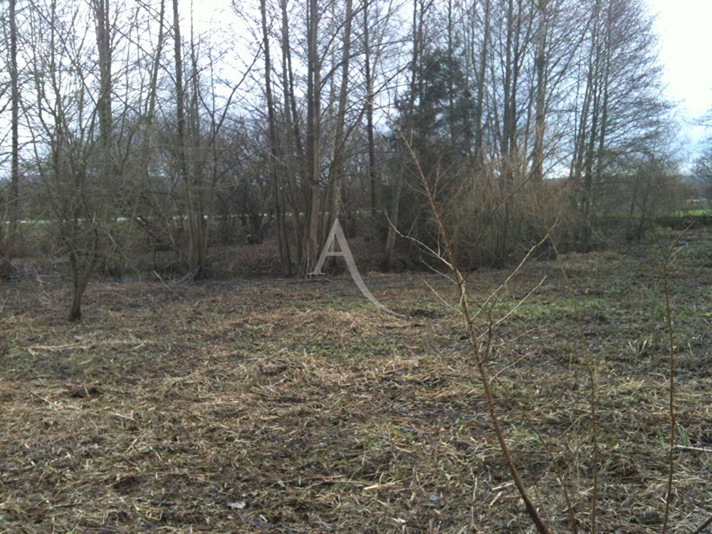 Vente Terrain Terrain de loisirs à 5min de Gournay-en-Bray Gournay en bray