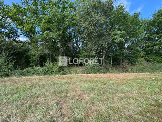  Terrain � vendre 45574 m�