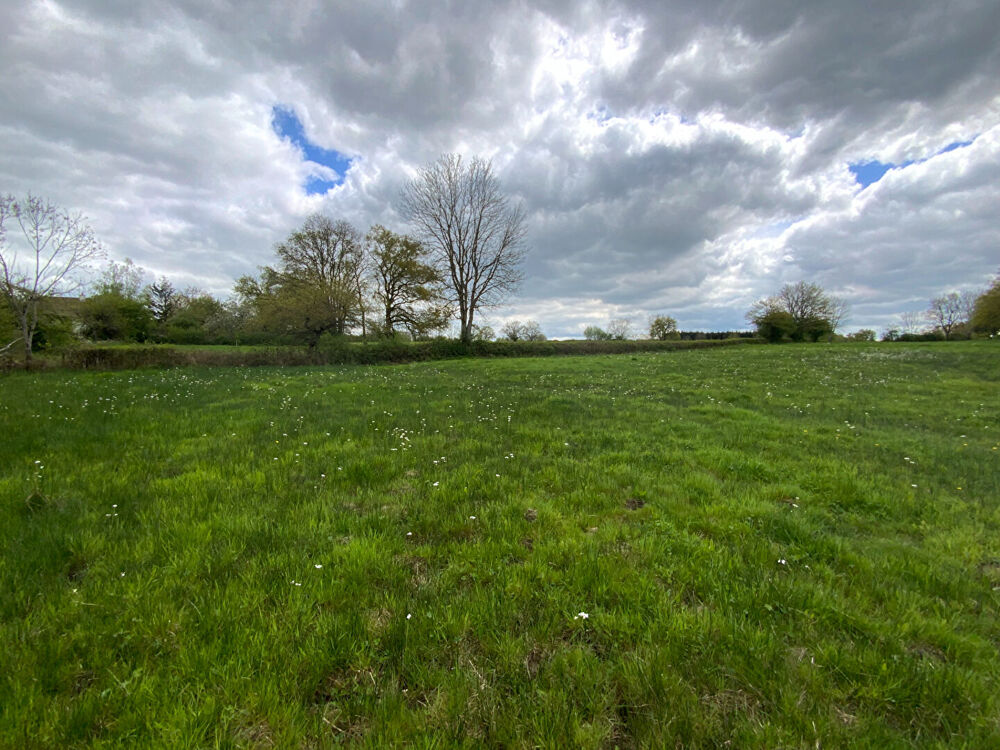 Vente Terrain AUXY - Terrain constructible d'environ 800 m² non viabilisé avec terrain agricole attenant de 5801 m². Auxy