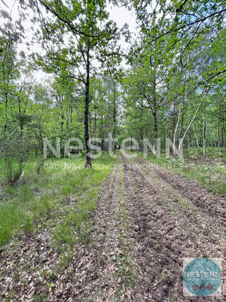  Terrain à vendre 119780 m²