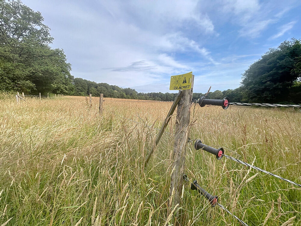 Vente Terrain Terrain Paimpont 40700 m2 Paimpont