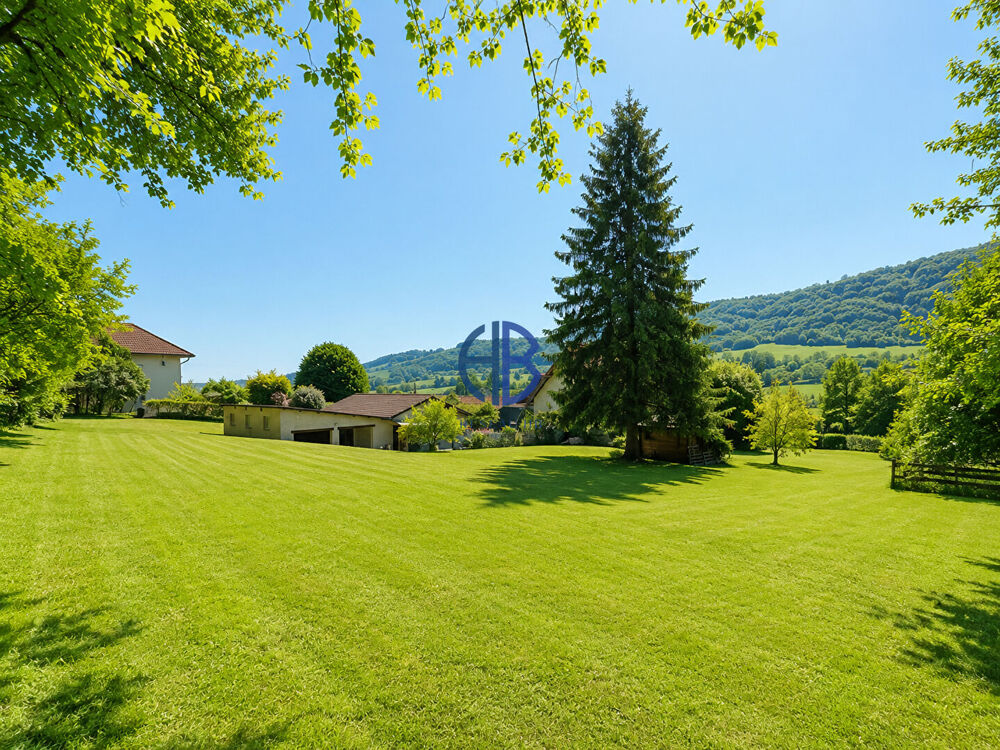 Maison Saint Geoire En Valdaine 7 pièce(s) 210 m2