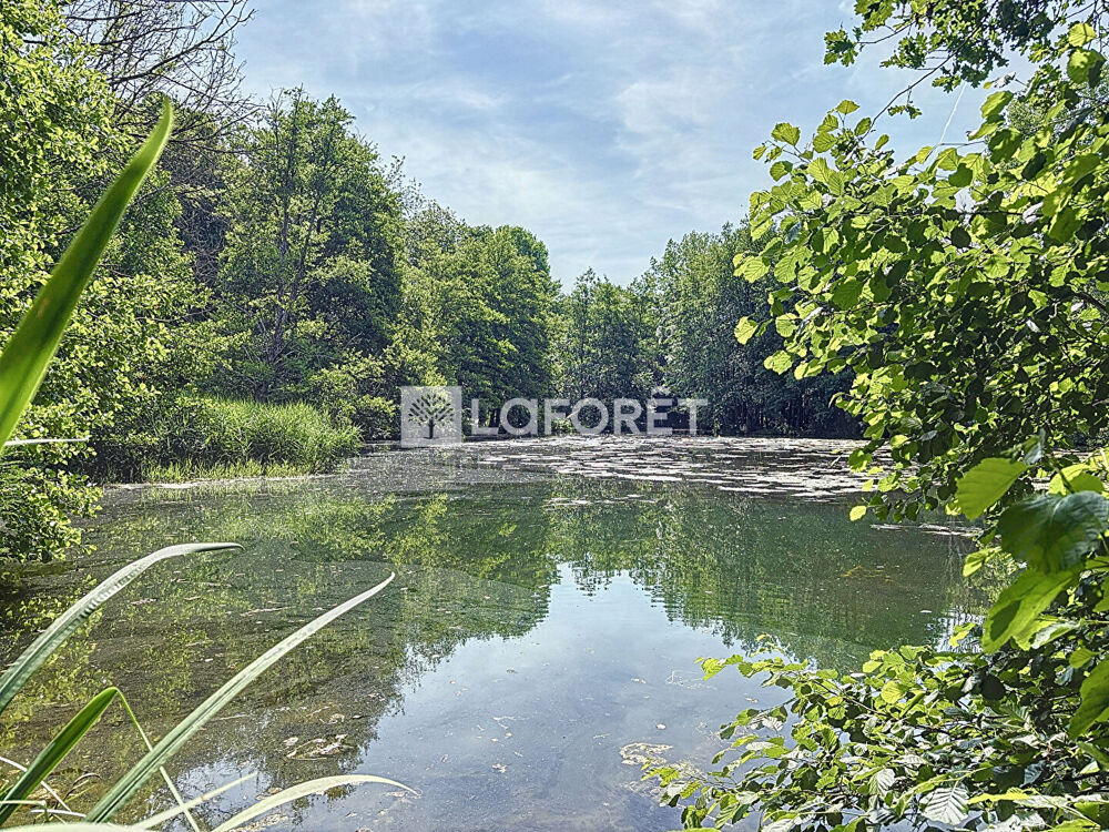 à vendre  Maison Épernay (51200)