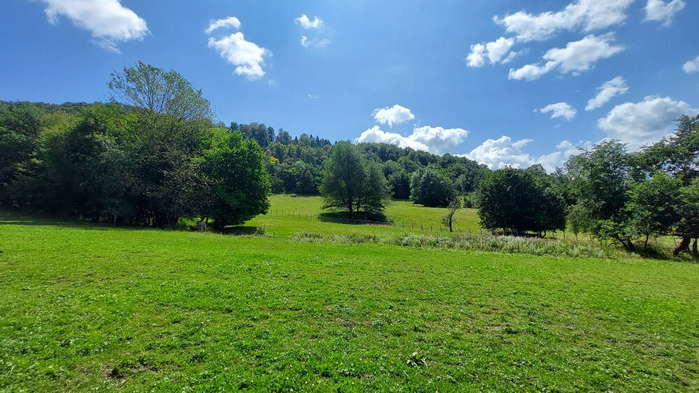  vendre  Maison Montbliard (25200)