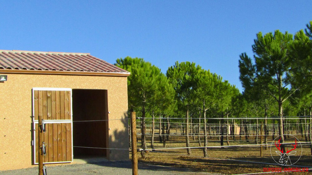 Vente Maison Propriété équestre rare et immédiatement opérationnelle Meze