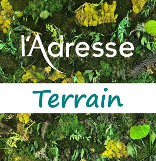  Terrain � vendre 736 m�