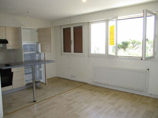  Appartement à louer 1 pièce 29 m²