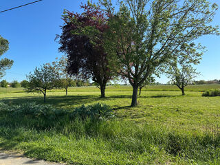  Terrain  vendre 1126 m