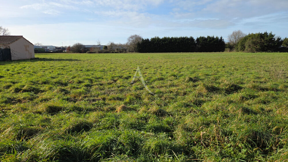 Vente Terrain Grand Terrain  viabilisé à Commequiers 693 m2 Commequiers