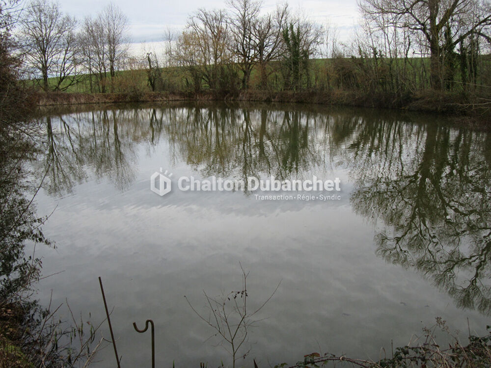 Vente Terrain Terrain de loisirs St Cyr De Favieres St cyr de favieres