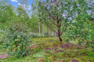  Maison � vendre 6 pi�ces 120 m�