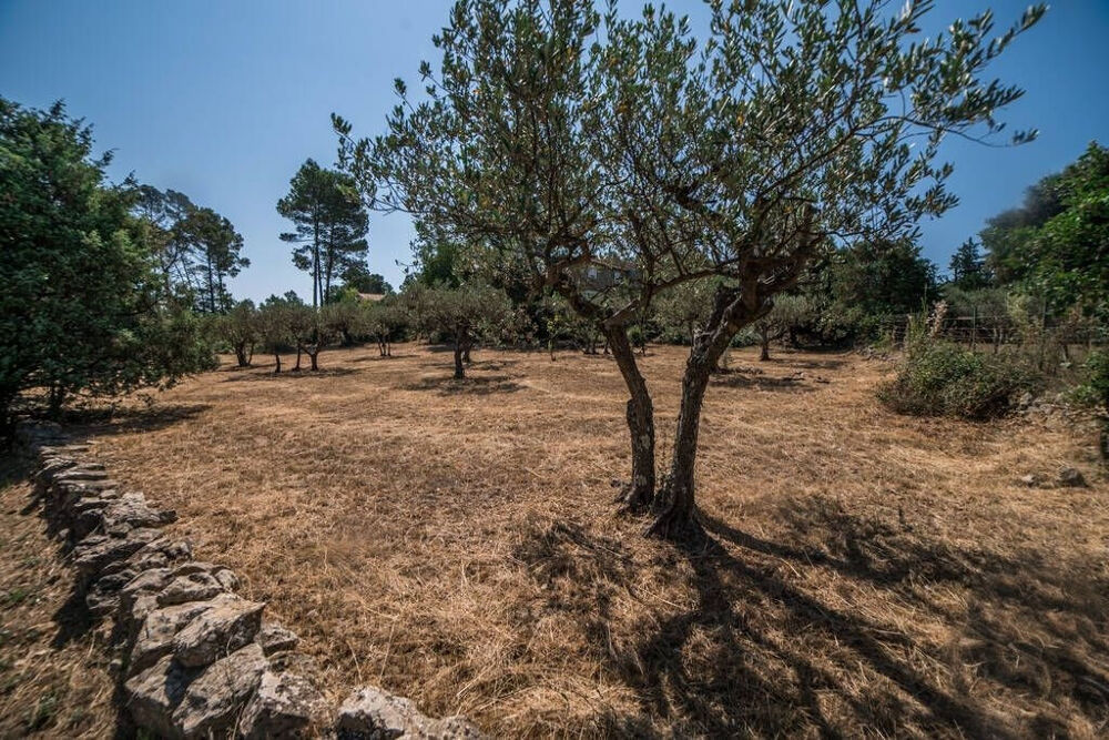 Vente Terrain A VENDRE ! FLAYOSC TERRAIN 1615 m² - Libre Constructeur Flayosc