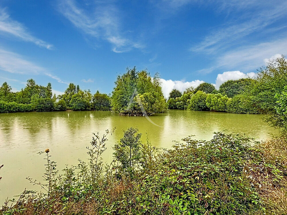 Vente Terrain Entre Angrie et Vern-d'Anjou, un véritable coin de nature sur plus de 4 hectares Angrie