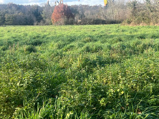  Terrain à vendre 1278 m²