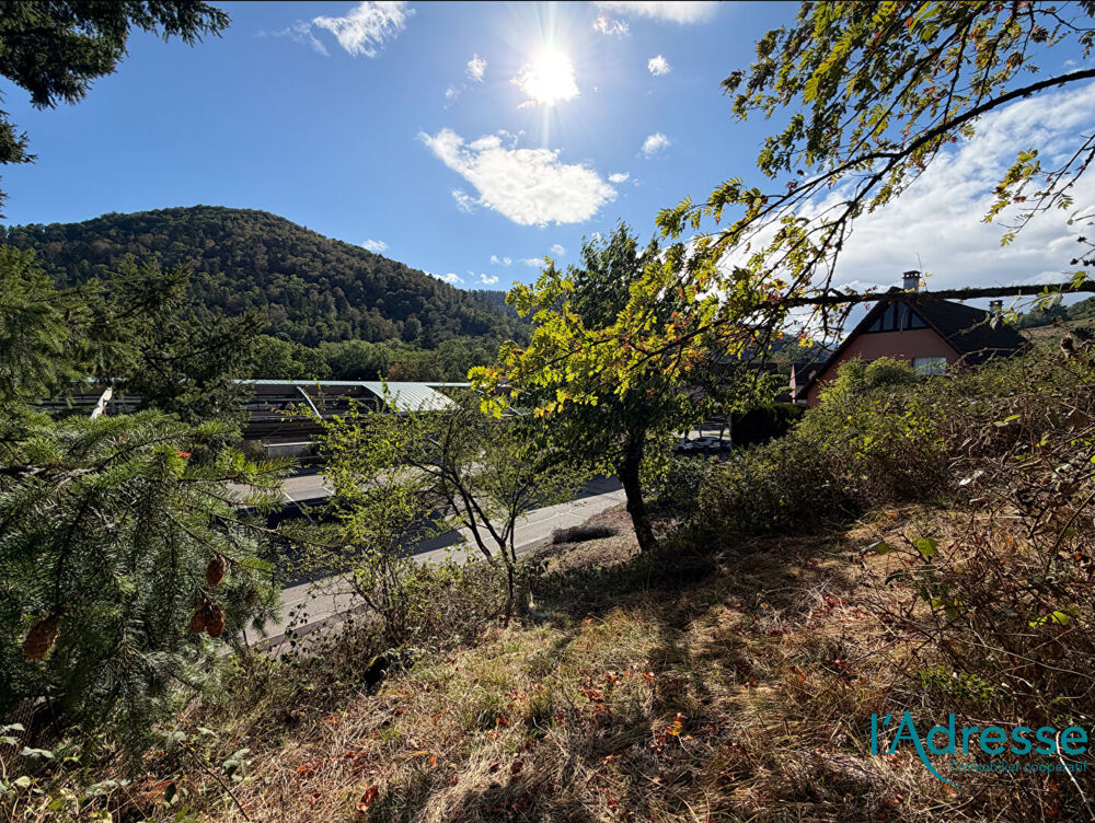 Vente Terrain Terrain Kaysersberg 1788 m2 Kaysersberg
