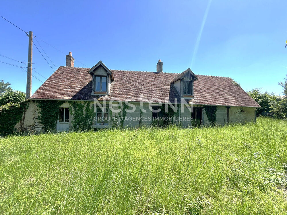 Vente Maison LONGERE AVEC POTENTIEL À VENDRE 2 CHAMBRES ET TEERAIN EN CAMPAGNE PROCHE CHABRIS (INDRE 36) Menetou sur nahon