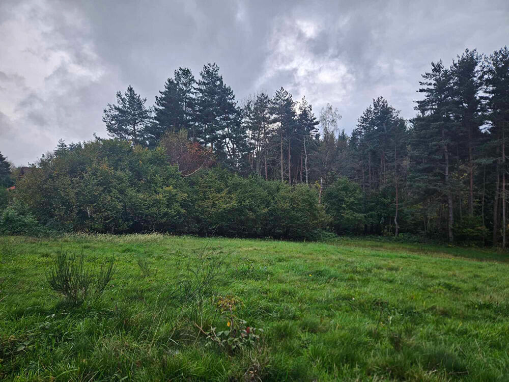 Vente Terrain EXCLUSIVITE ! LAPTE Terrain constructible de  plus de  2000 m2 Lapte