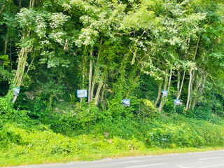  Terrain � vendre 1177 m�