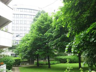  Appartement à louer 3 pièces 71 m²