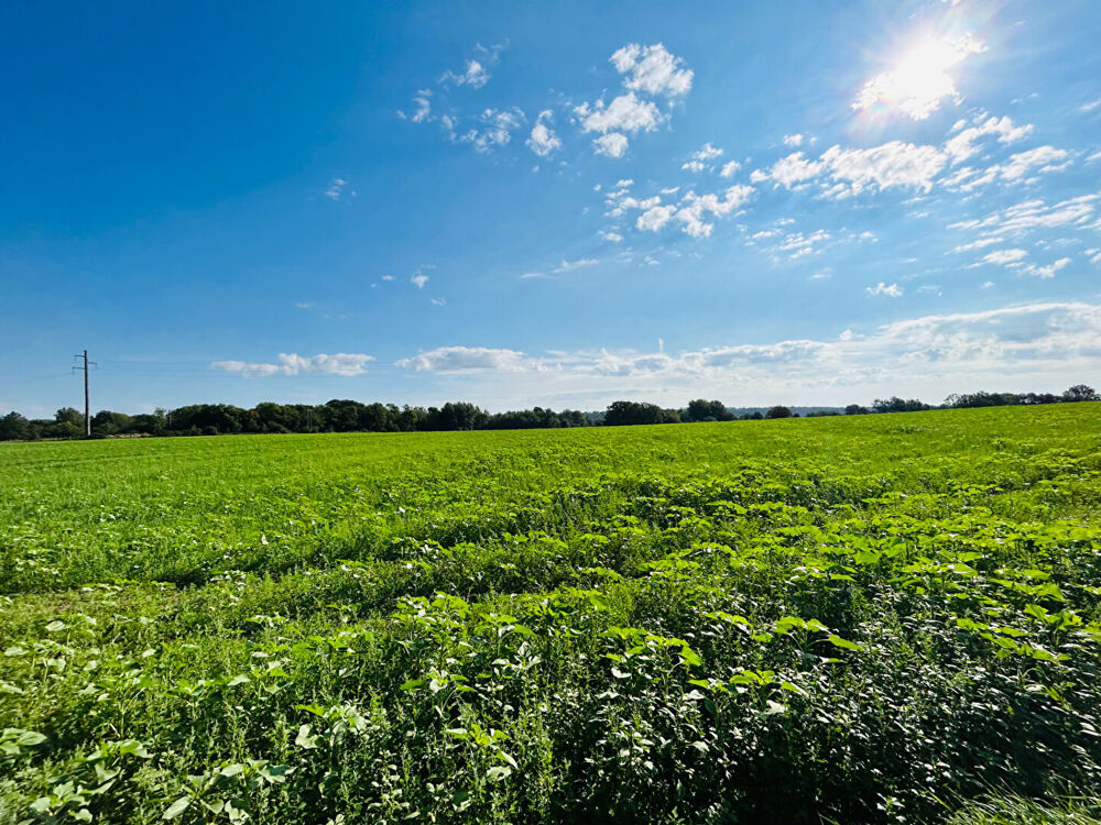 Vente Terrain SECTEUR FERTE-SOUS-JOUARRE - Terrain Jouarre face à la nature La ferte sous jouarre