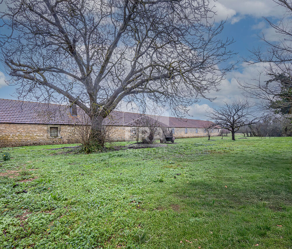 FORGES (17) - LOT À RÉHABILITER - 4380 m² DE PARCELLE