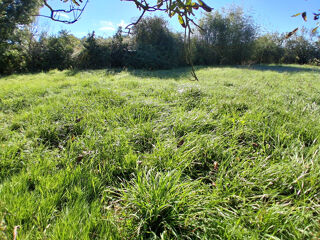  Terrain � vendre 1354 m�