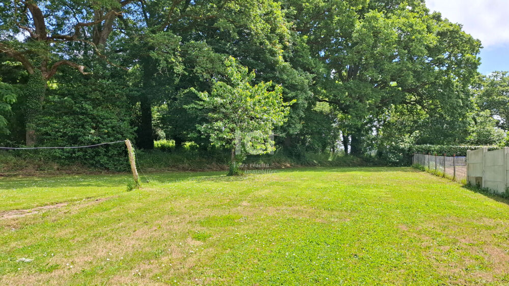 Vente Terrain Terrain Chaumes En Retz de 533 m² Chaumes en retz