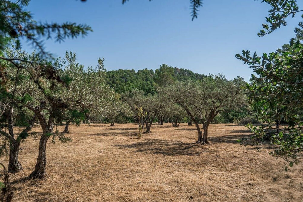 Vente Terrain A VENDRE ! FLAYOSC TERRAIN 1615 m² - Libre Constructeur Flayosc