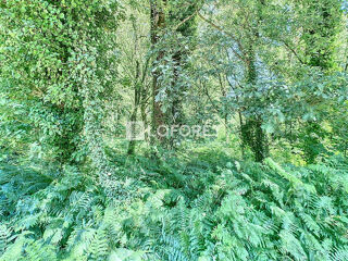  Terrain à vendre 8921 m²