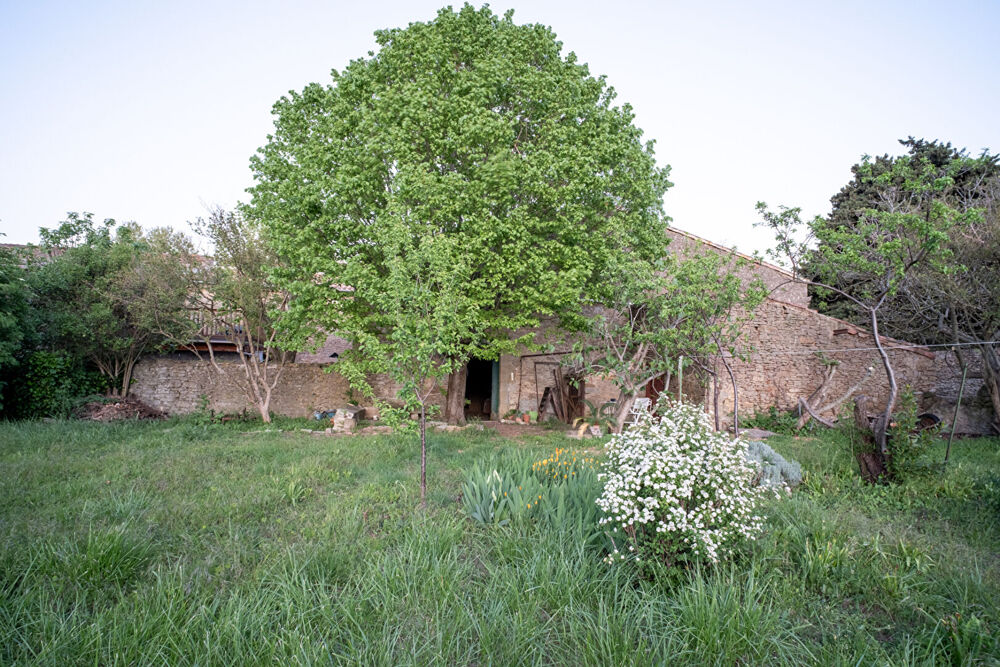 Maison Vigneronne avec jardin